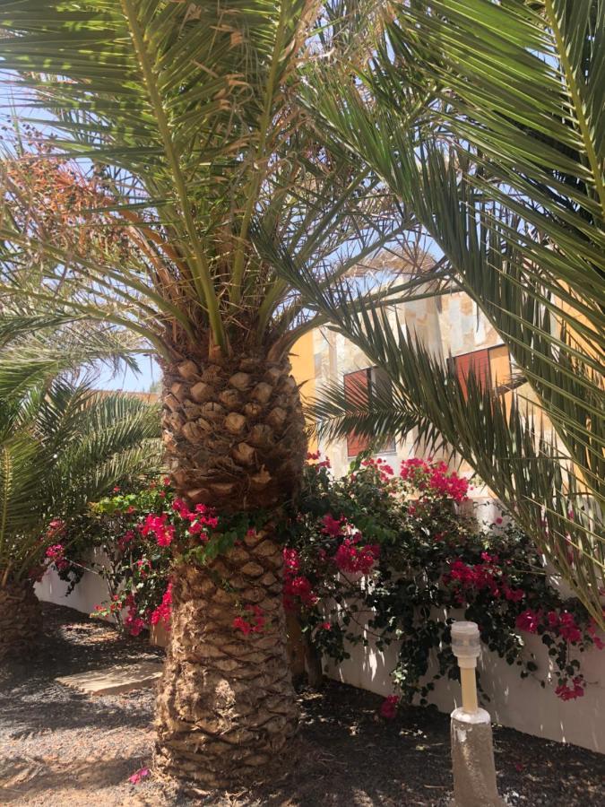 Apartamento Sunny Complex Amaya Fuerteventura 코스타 데 안티과 외부 사진